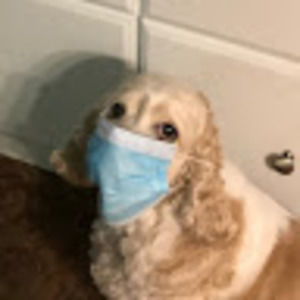 Meet your Posher, Pill